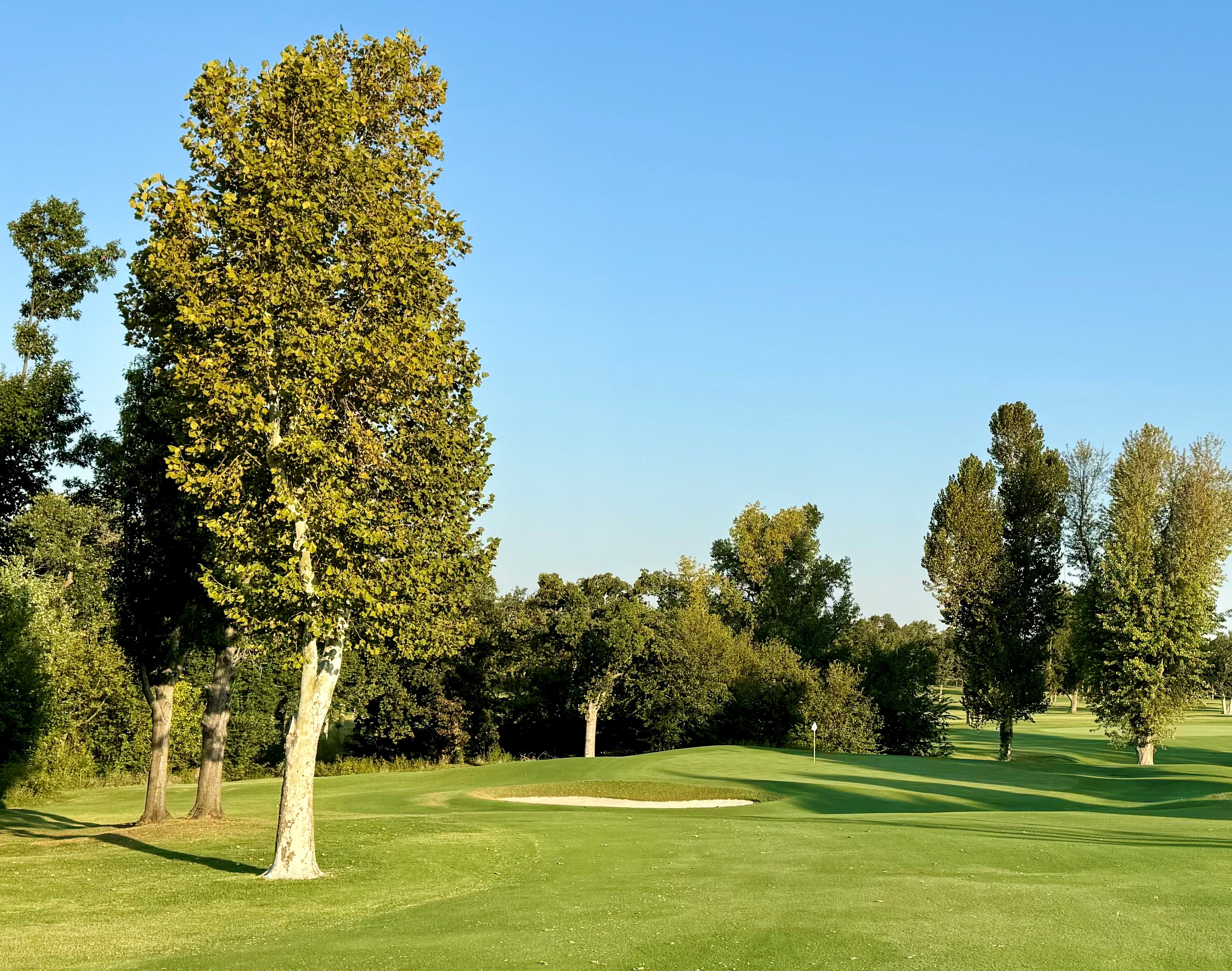 16 Approach